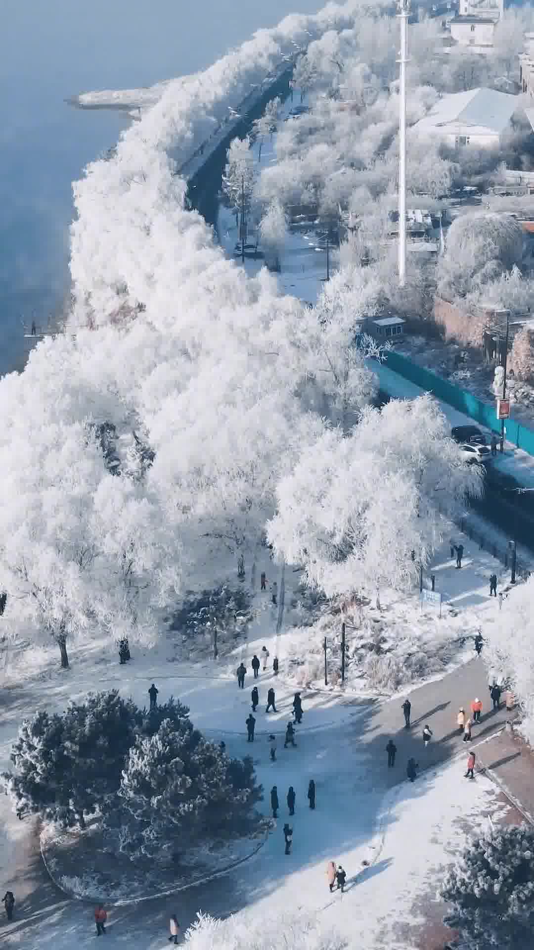 吉林，东北亚枢纽与绿色转型引领者