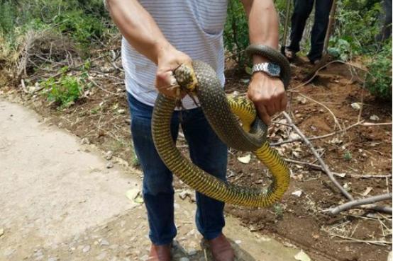 河南小巷深处，探寻惊喜特色小店